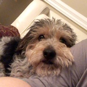 Meet your Posher, Chloe